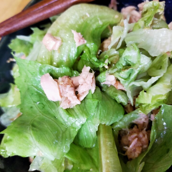 男飯！超簡単シャキシャキレタスサラダ